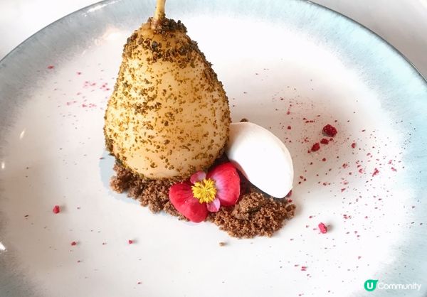 靚景打卡動物友善🐶🐱餐廳Billow