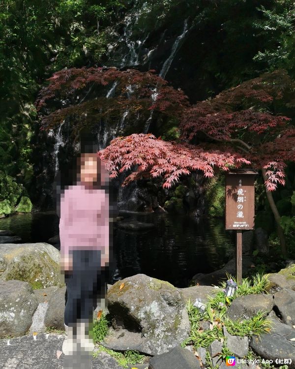 箱根湯本享受溫泉寫意旅遊