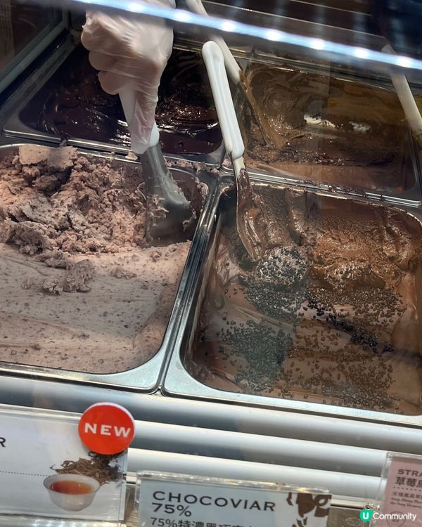 Venchi 茶味 Gelato 