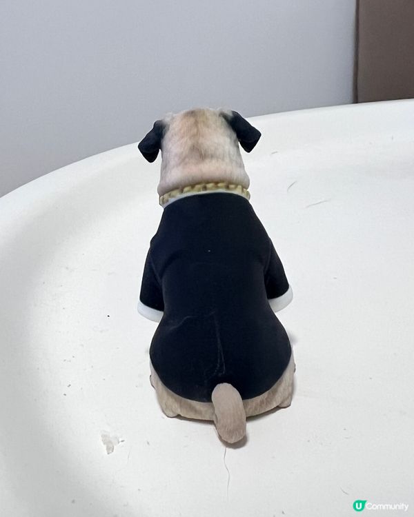 像真度極高3D model🥰迷你版Morby出現啦