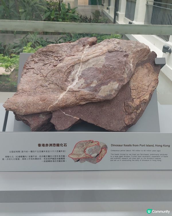 香港文物探知館