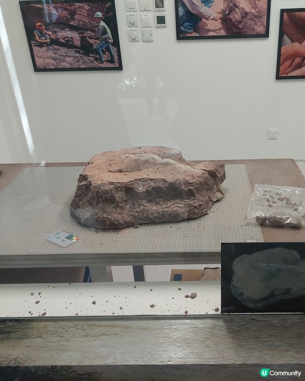 香港文物探知館