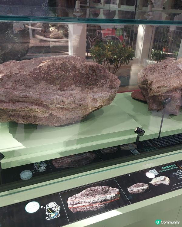 香港文物探知館