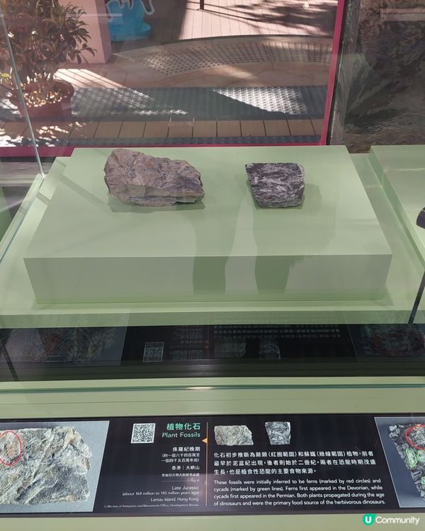 香港文物探知館