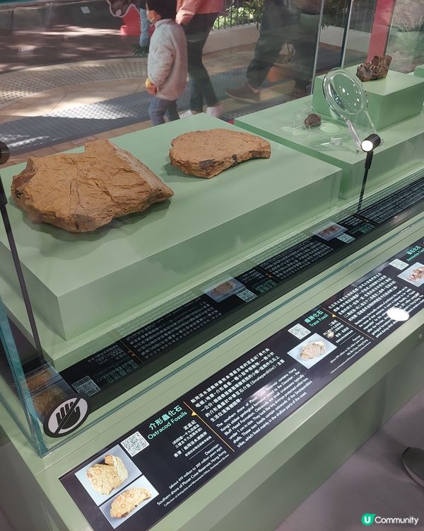 香港文物探知館