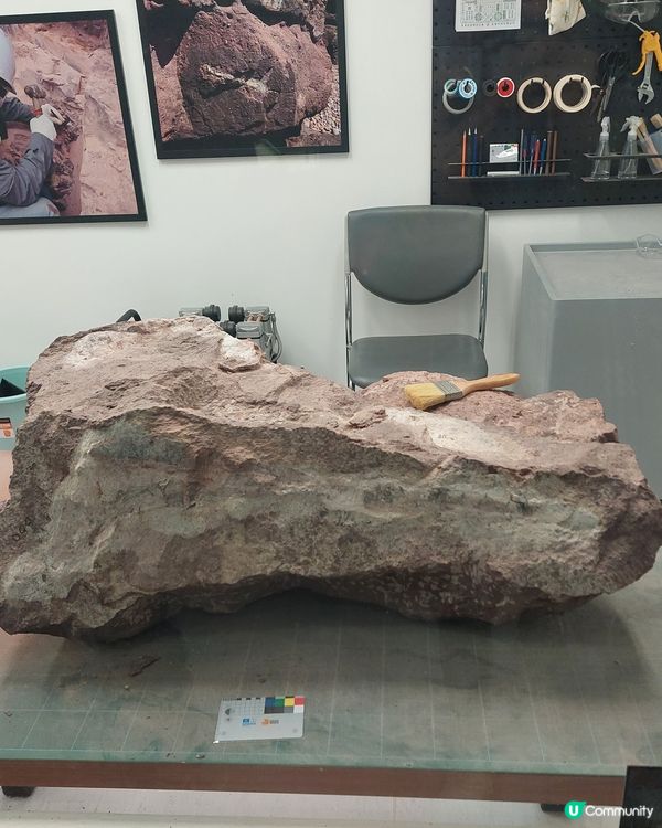 香港文物探知館