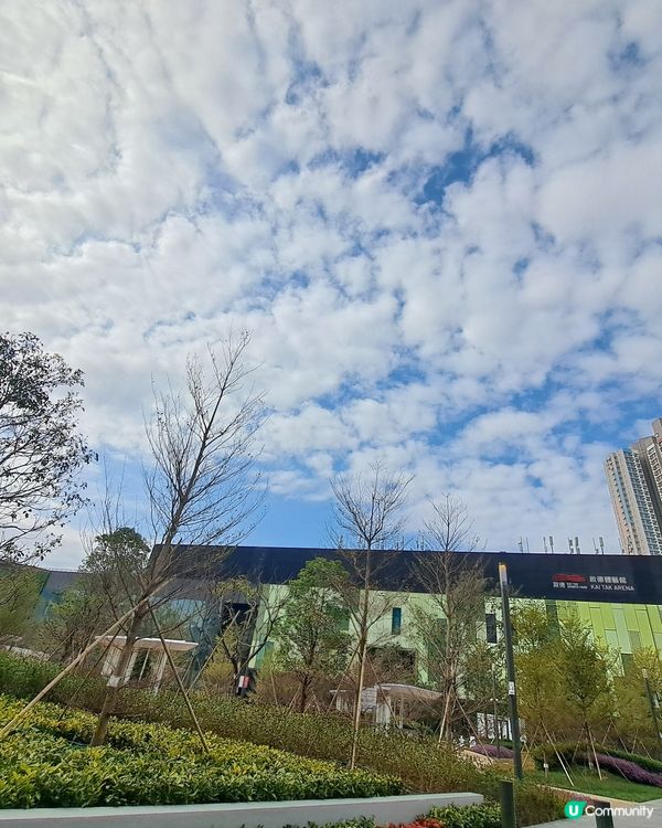 年初一，行過大運唔少得。😉