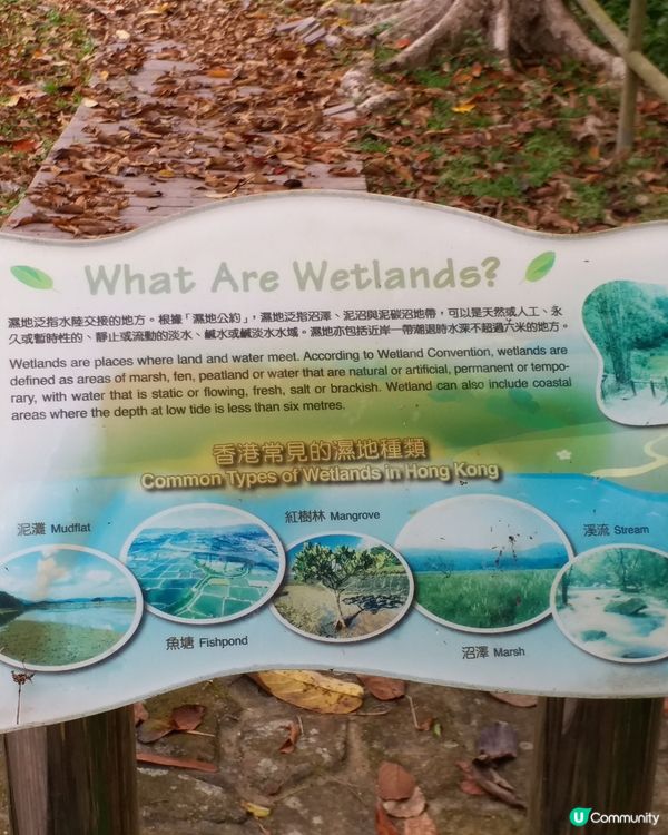 社企餐廳要支持一下