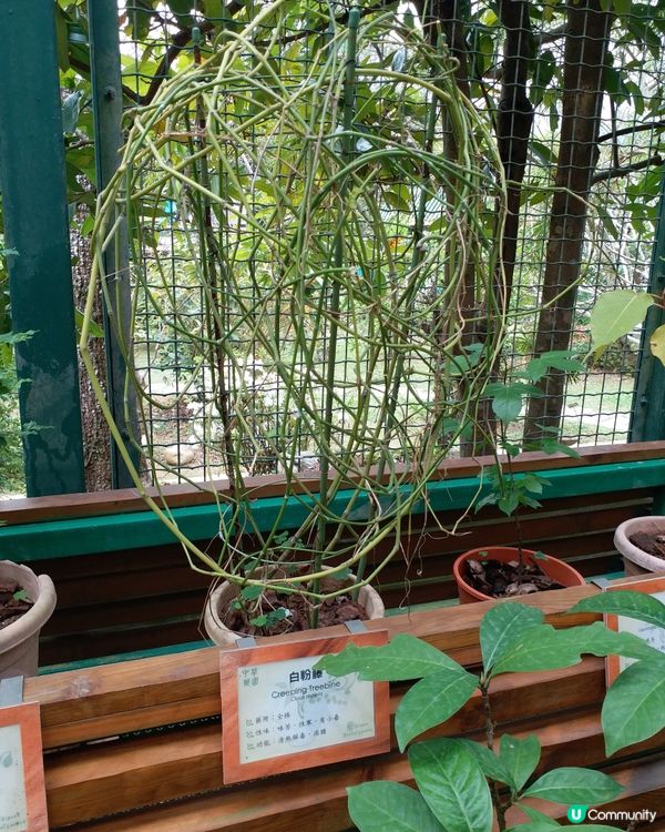 社企餐廳要支持一下