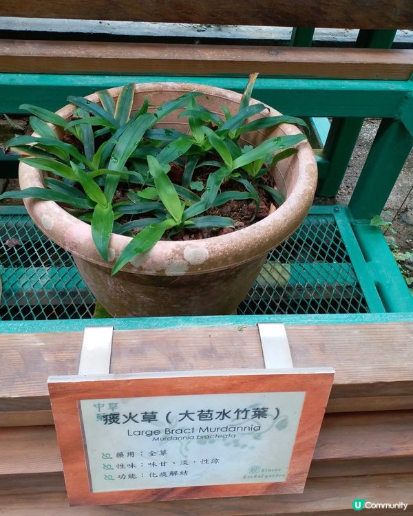 社企餐廳要支持一下