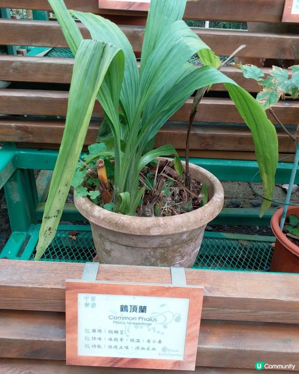 社企餐廳要支持一下