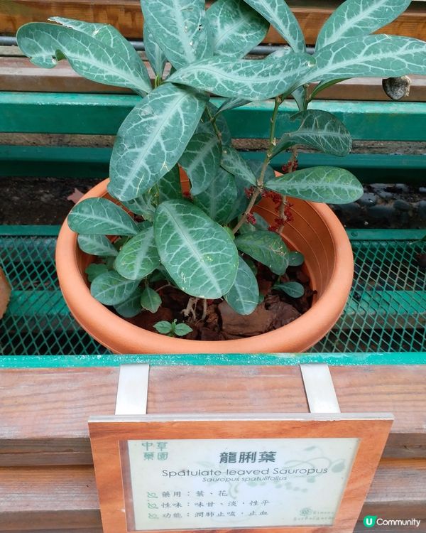 社企餐廳要支持一下