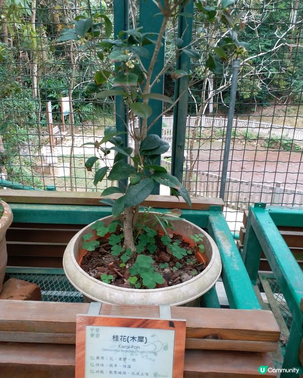 社企餐廳要支持一下