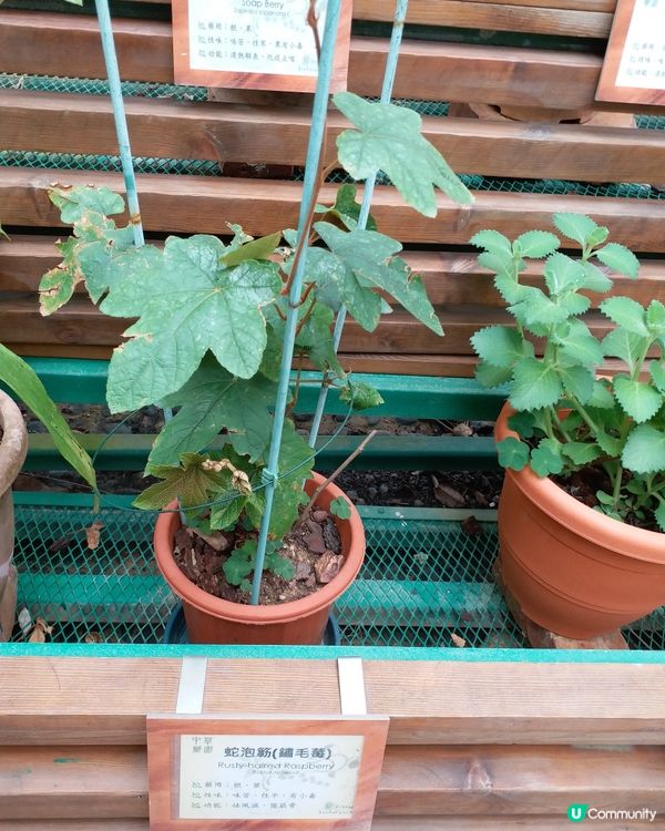 社企餐廳要支持一下