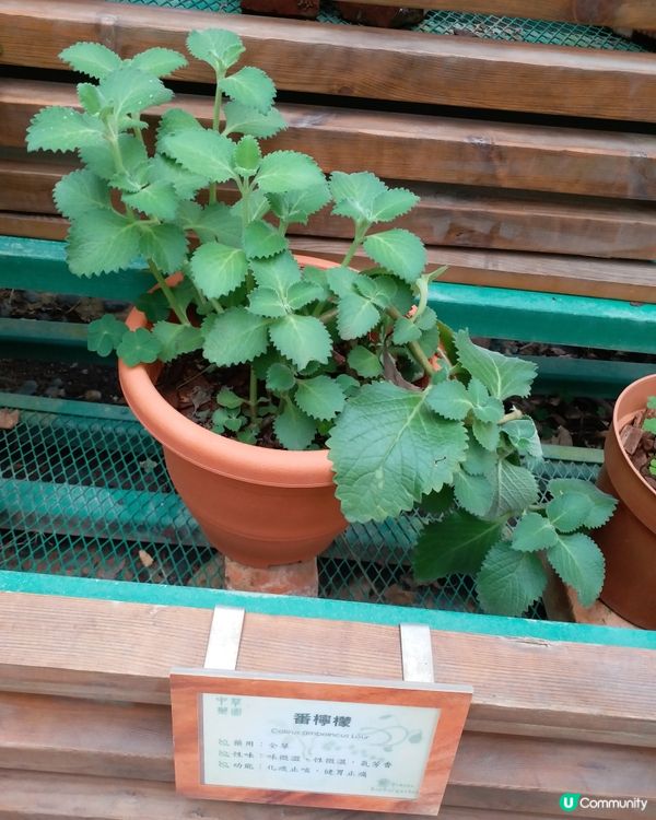 社企餐廳要支持一下