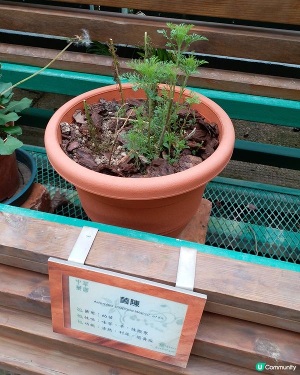 社企餐廳要支持一下