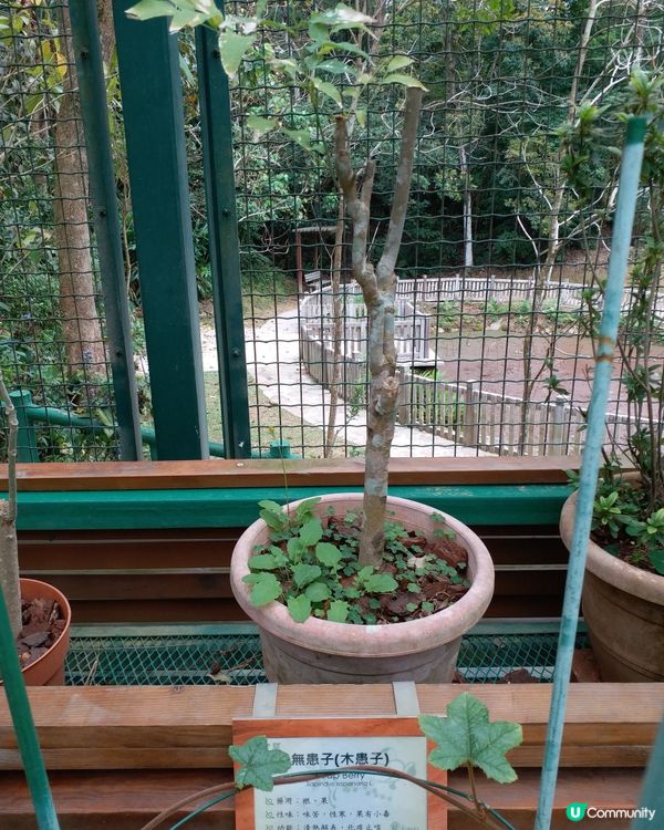 社企餐廳要支持一下