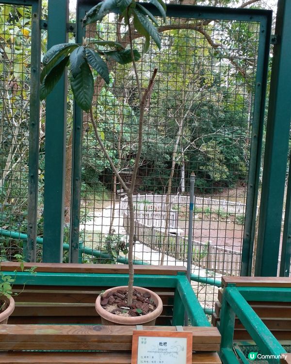 社企餐廳要支持一下