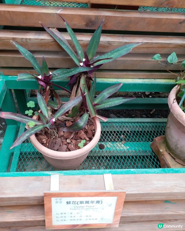 社企餐廳要支持一下