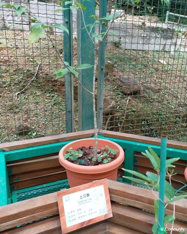 社企餐廳要支持一下