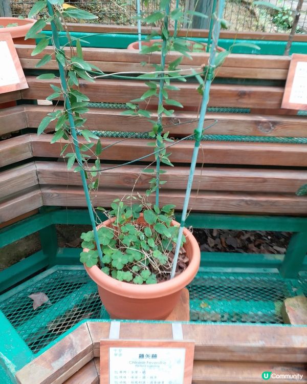 社企餐廳要支持一下