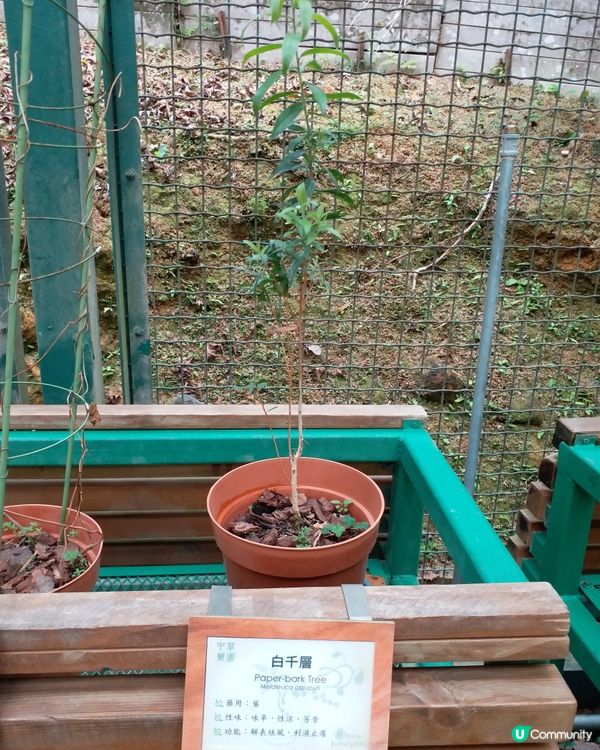 社企餐廳要支持一下