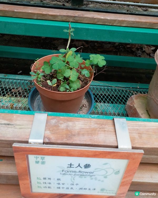 社企餐廳要支持一下