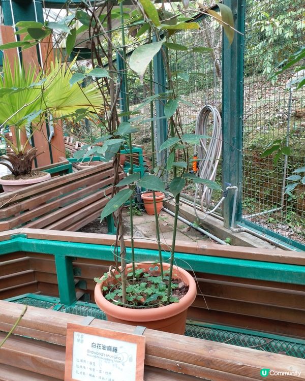 社企餐廳要支持一下