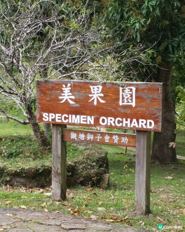 大自然郊遊樂趣