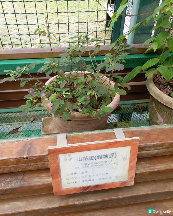 大自然郊遊樂趣