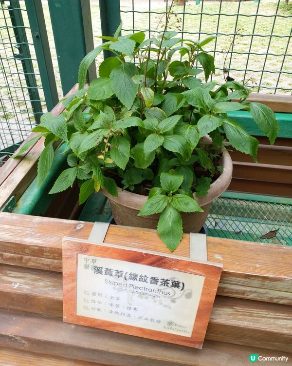 大自然郊遊樂趣