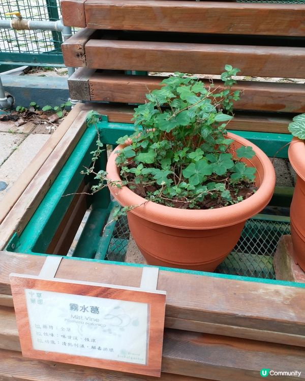 大自然郊遊樂趣