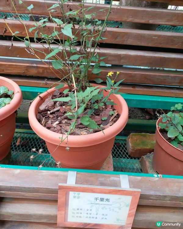 大自然郊遊樂趣