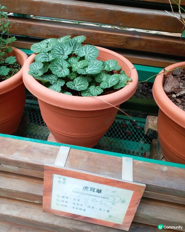 大自然郊遊樂趣