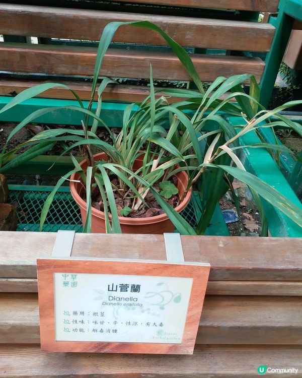 大自然郊遊樂趣