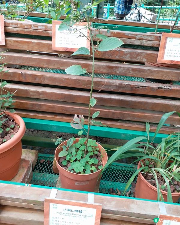 大自然郊遊樂趣