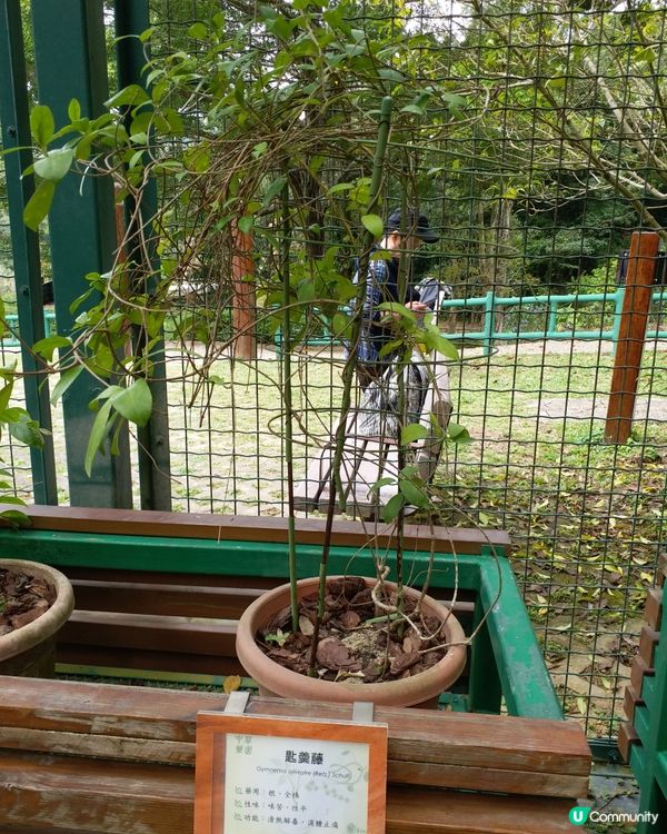 大自然郊遊樂趣