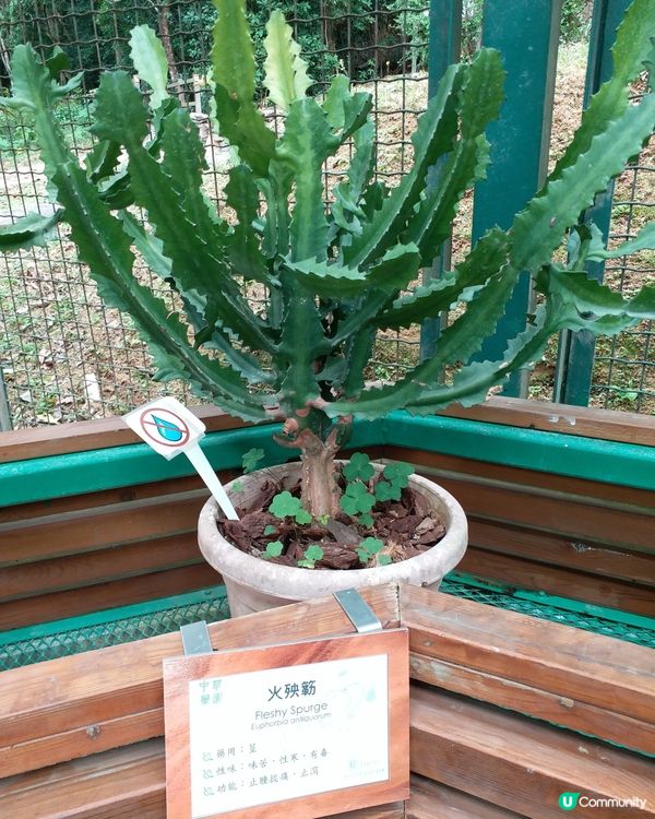 大自然郊遊樂趣