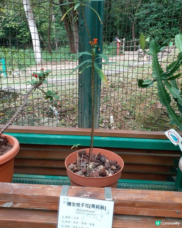 大自然郊遊樂趣