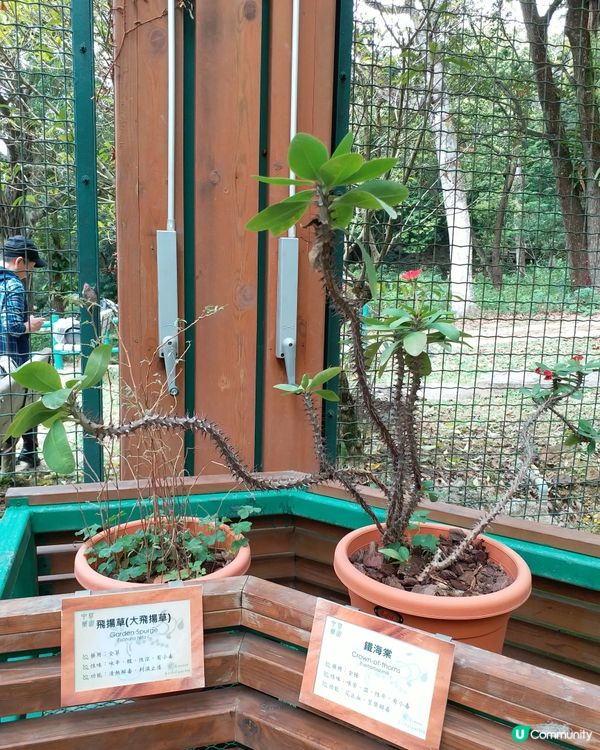 大自然郊遊樂趣