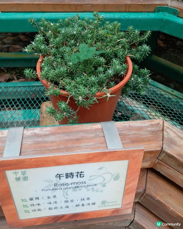 大自然郊遊樂趣