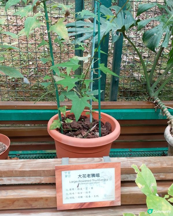 大自然郊遊樂趣