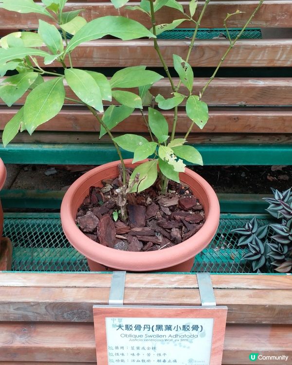 大自然郊遊樂趣