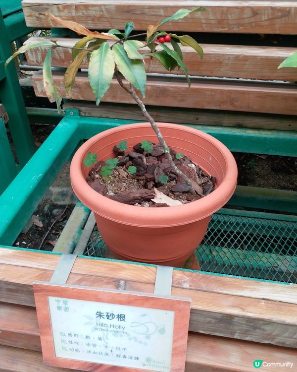 大自然郊遊樂趣