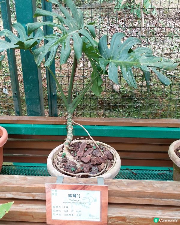 大自然郊遊樂趣