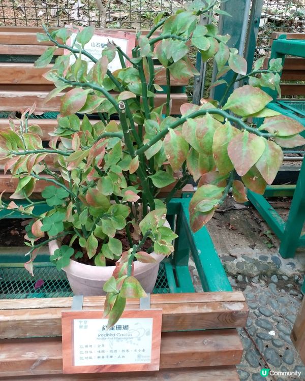 大自然郊遊樂趣