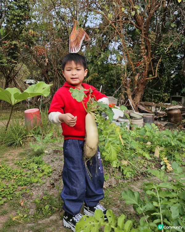 開心圍村蘿蔔糕！🥕🔥