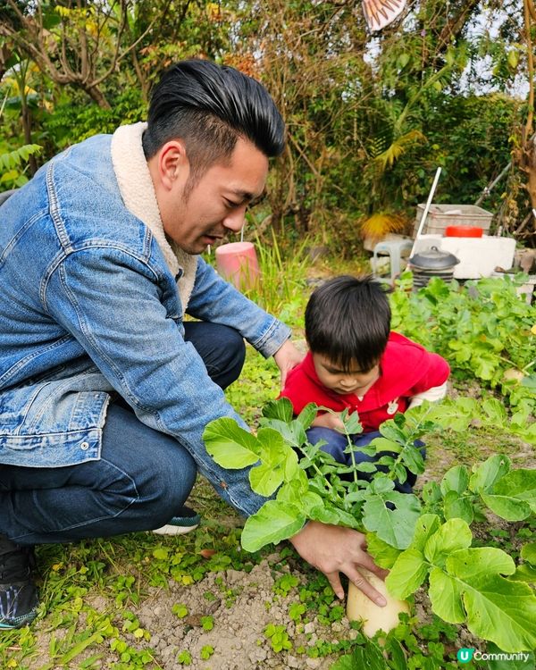 開心圍村蘿蔔糕！🥕🔥