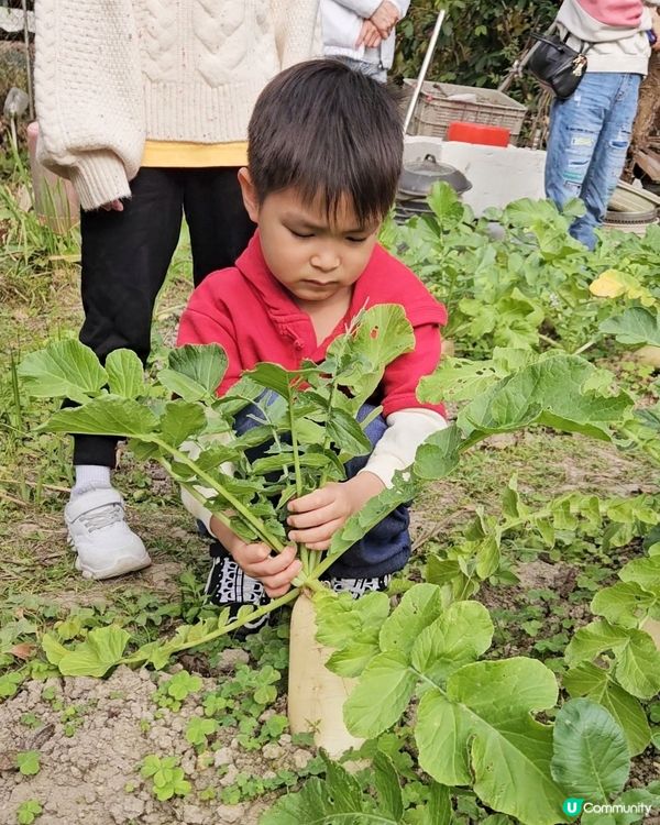 開心圍村蘿蔔糕！🥕🔥
