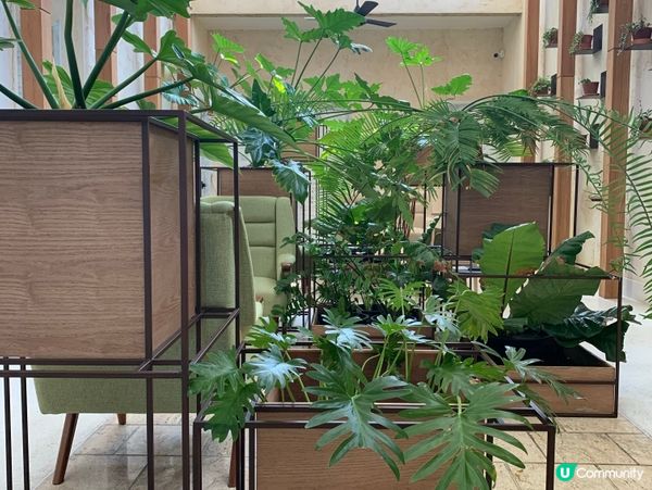 🇹🇭曼谷。小清新打卡 Spa。Calm Spa Ari。